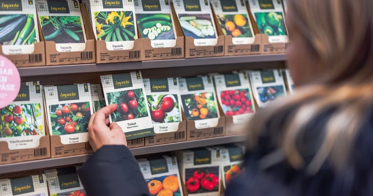 ÄRA UNUSTA ⟩ See on õige aeg tomatiseemne mulda panekuks