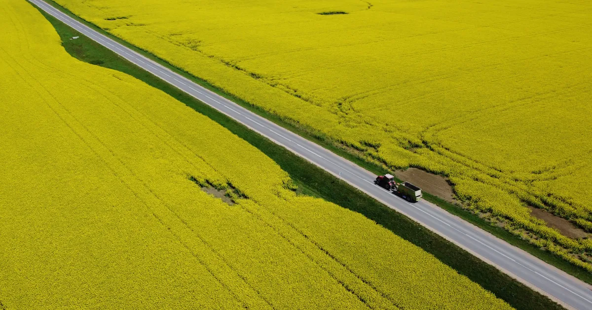 Valgevene tassib Euroopa Liitu okupeeritud Ukraina aladelt pärit rapsiõli