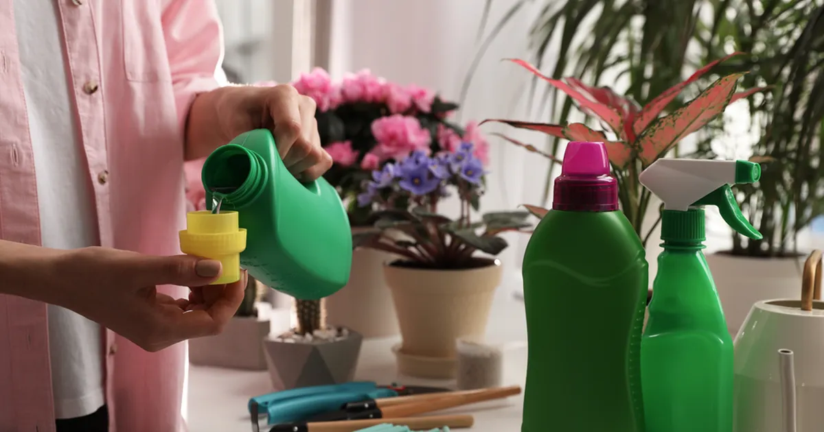 Unusta keemilised väetised! Need kodused lahendused toidavad su taimi paremini!