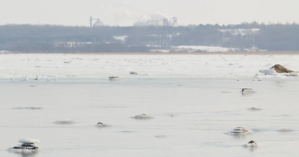 FOTO ⟩ «​Baleriinide etteaste!» Põhja-Eestis avanes merelt omapärane vaatepilt