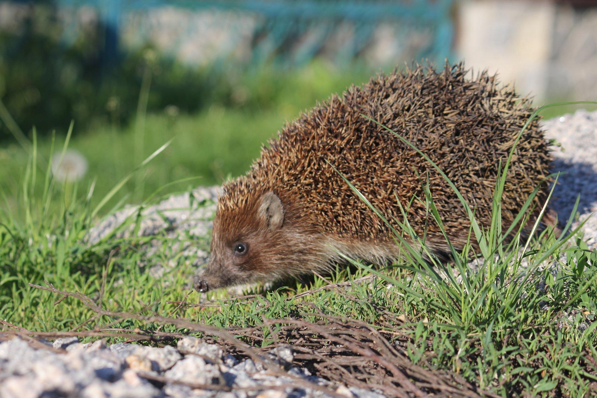 GUUD, BÄÄD & NÄDALA SÕNA | Pool tundi muna keeta tundub küll liiast