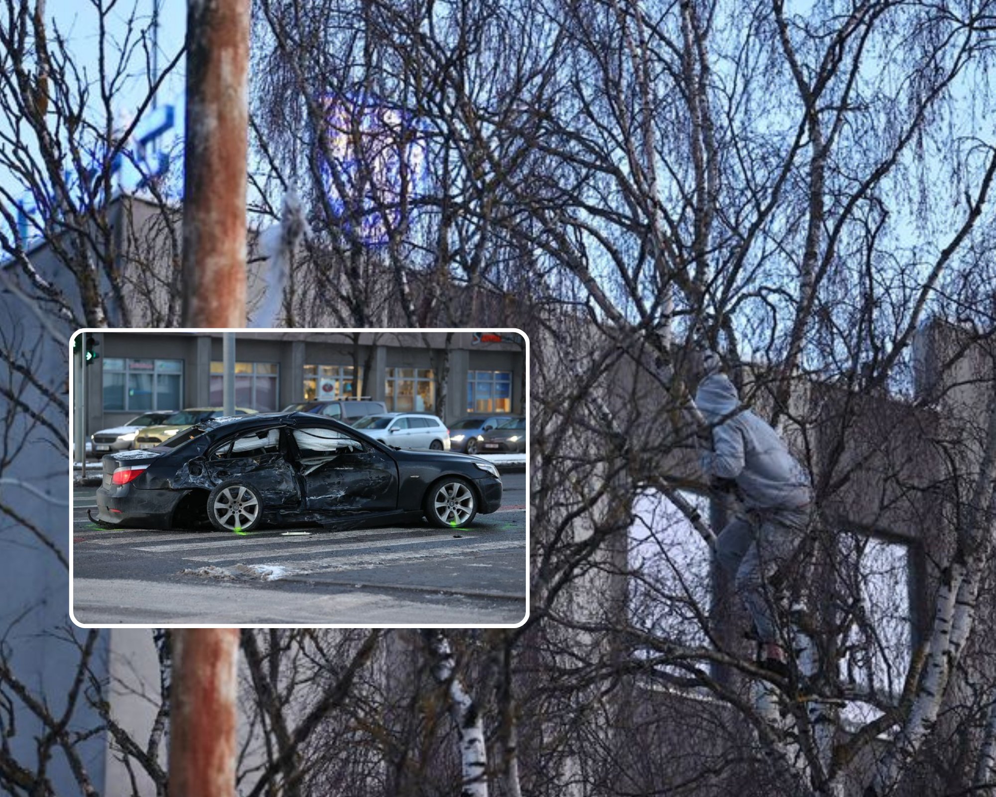 VIDEO JA FOTOD | Tallinnas põrkasid kokku BMW ja tramm. Põgeneda üritanud bemarijuht ronis puu otsa