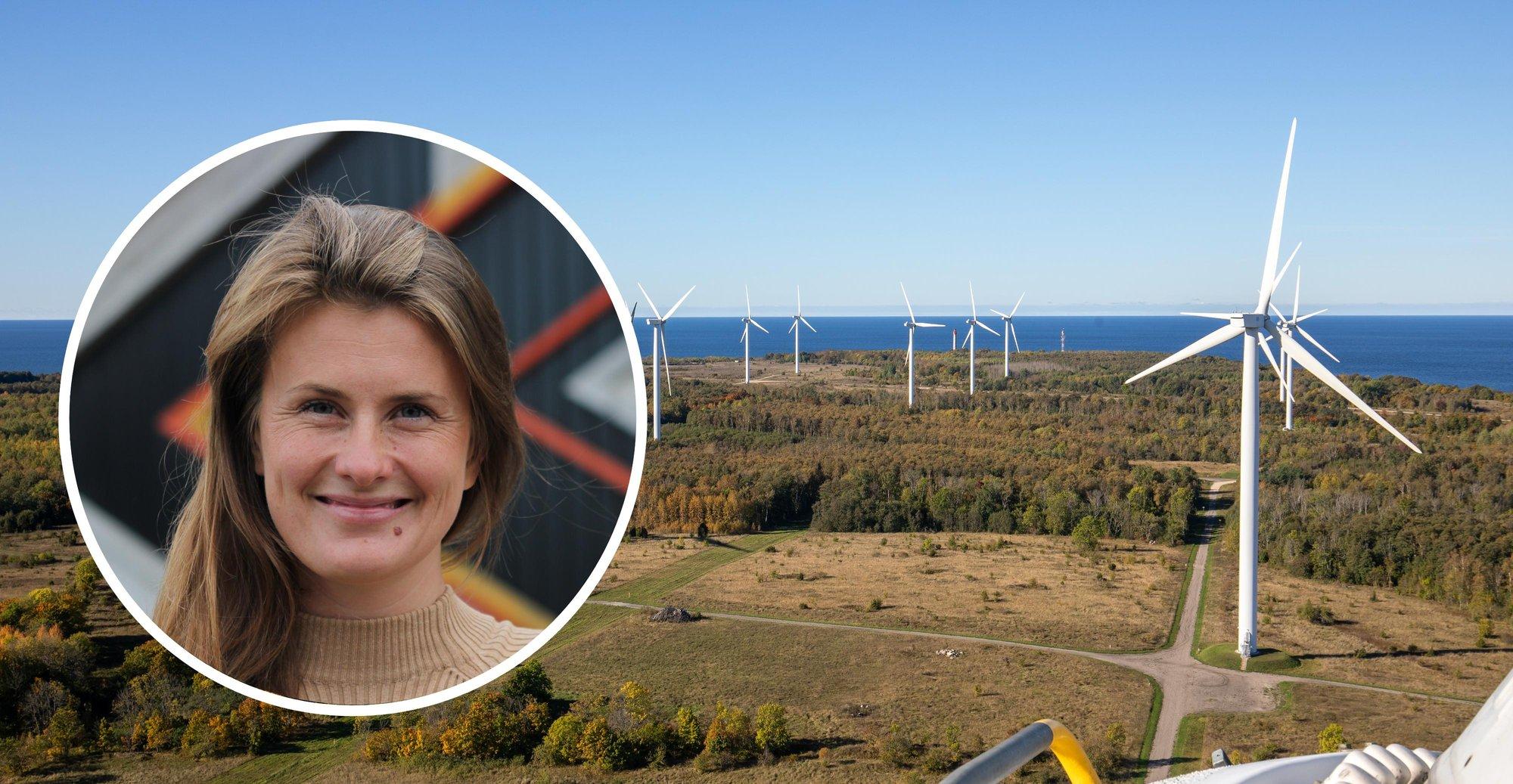 Uuring: avalik vastuseis tuulikutele ei peegelda enamuse vaateid. “Elutoa akna alla tuulikut ei taha, aga lauda taha miks mitte“