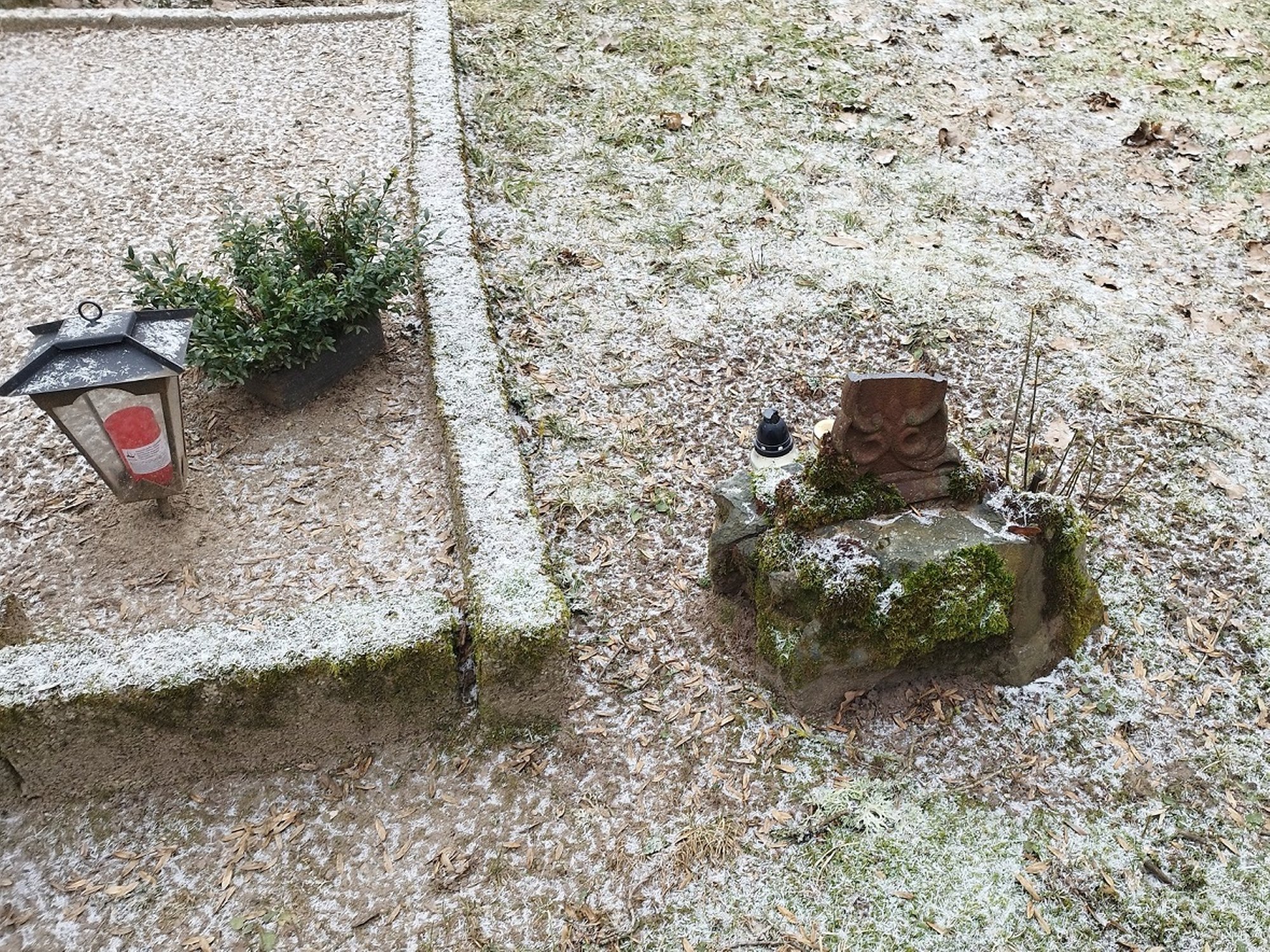 FOTOD | „Ristide murdmine on barbaarne.“ Märjamaal rüüstati muinsuskaitsealuseid kalmistuid