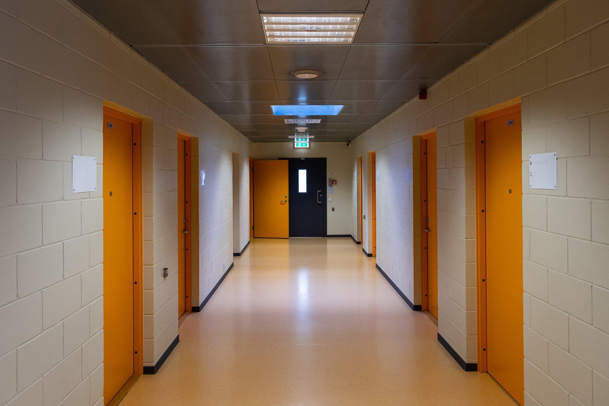 Vanglateenistuse ühe arengustsenaariumi kohaselt võib teenus suuresti Harjumaale koonduda