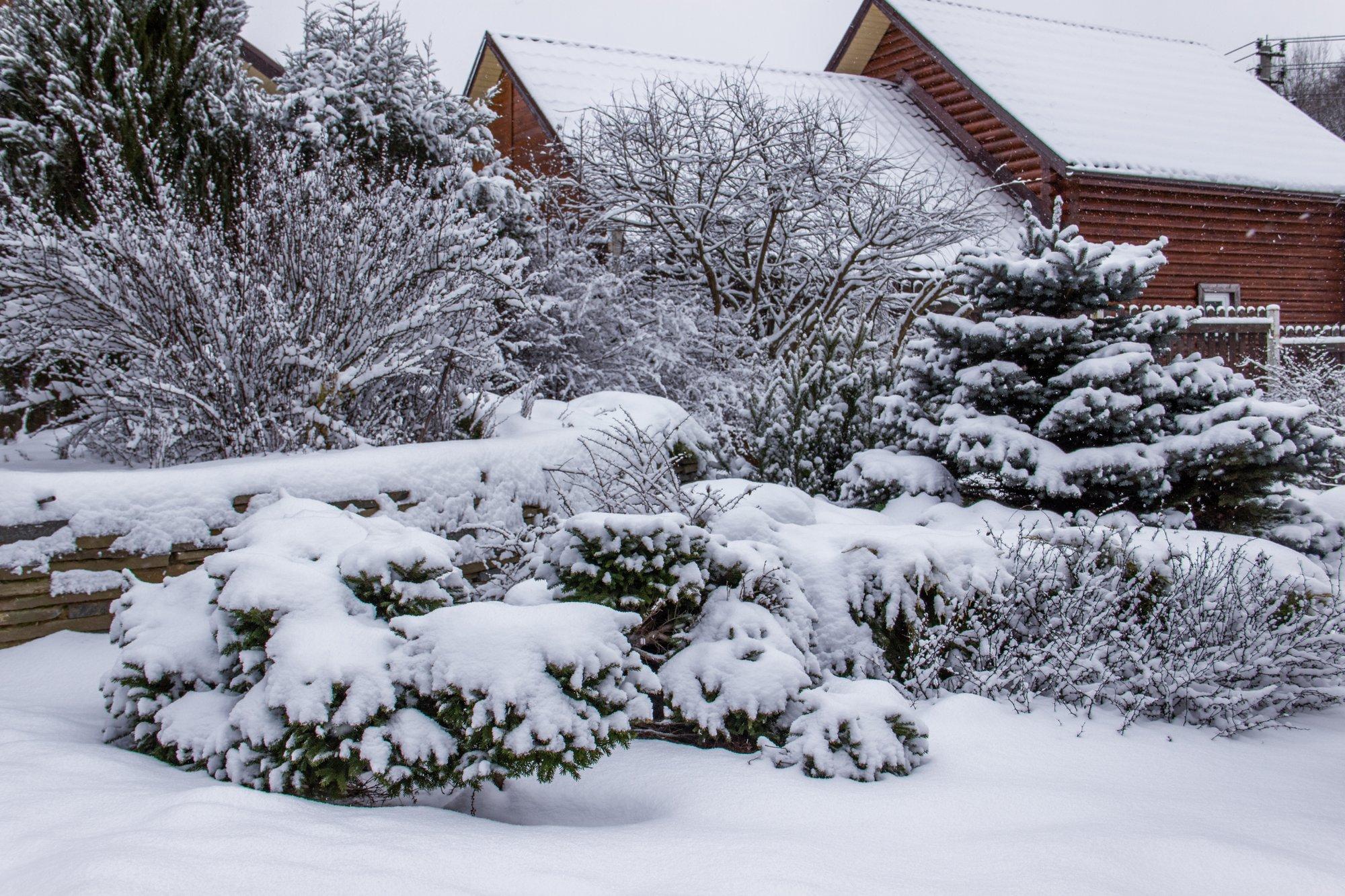 Uueks aiahooajaks tehke plaane talvel, lumega on selleks paras aeg