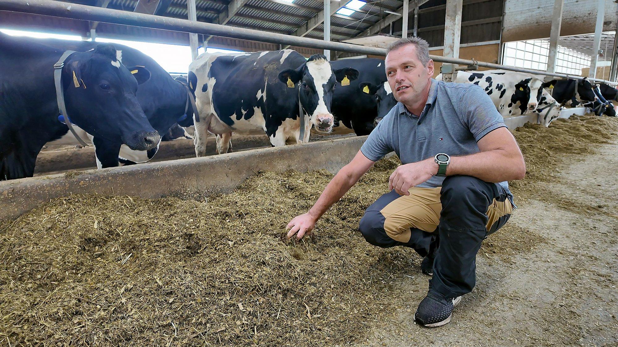 Tööstused vajavad madalama süsinikujäljega piima