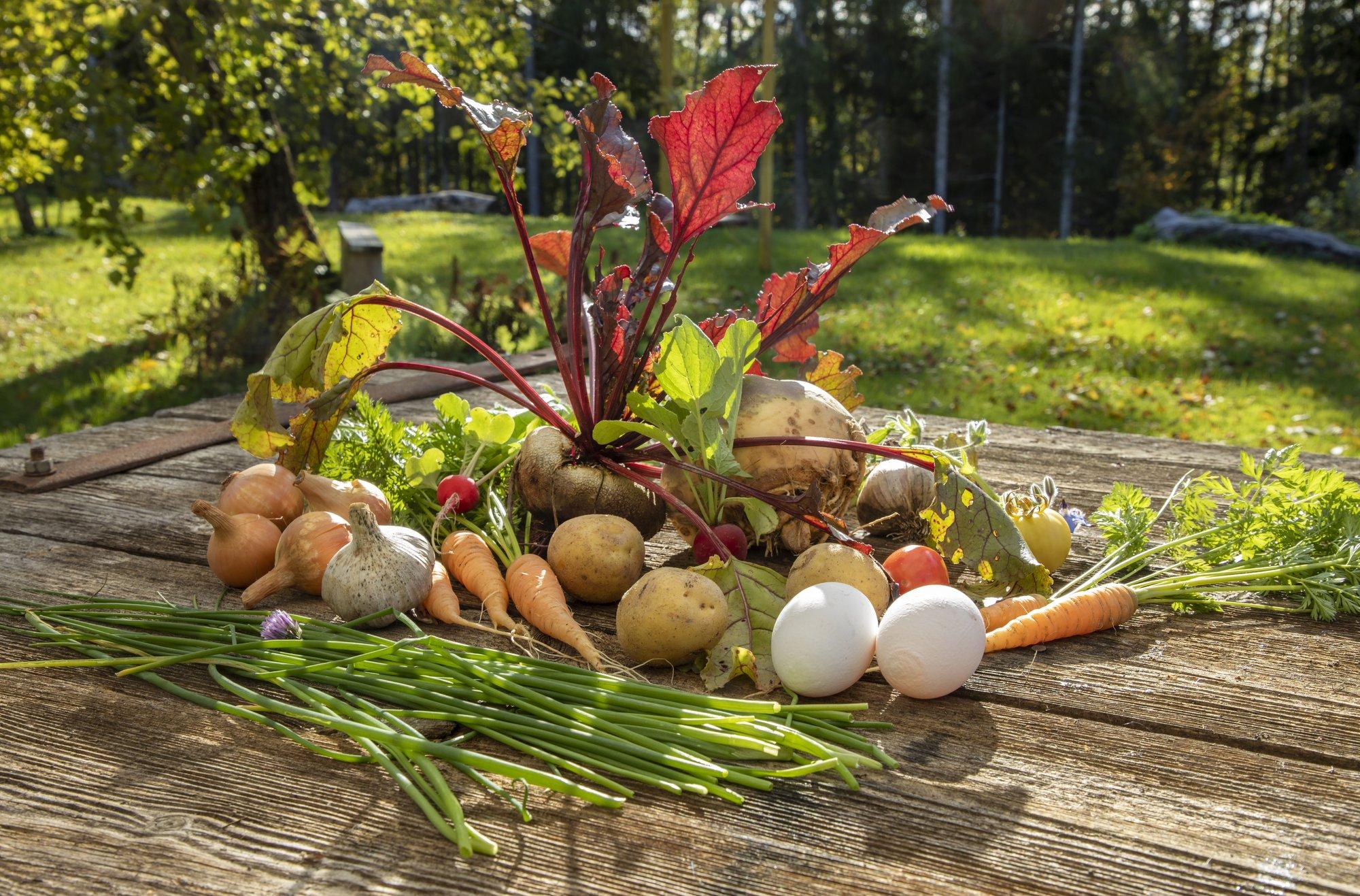 Piret Hartman: kohalik toit ei muutu soodsamaks, kui seda ei osteta