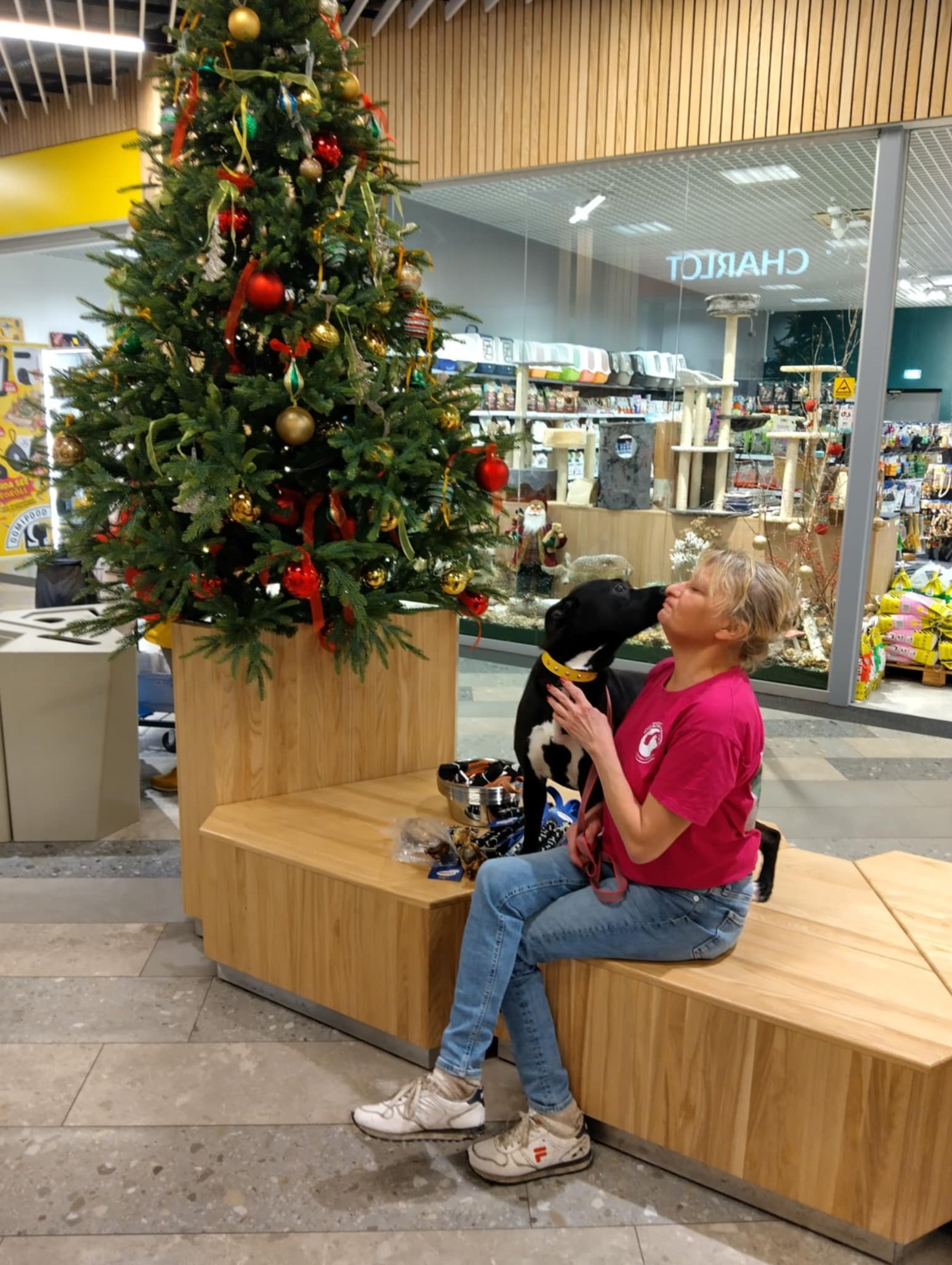 INTERVJUU | Eestimaa Uhkuseks pärjatav koerapäästja: vandumine käib 24/7, ühe sõimaja andsin kohtusse