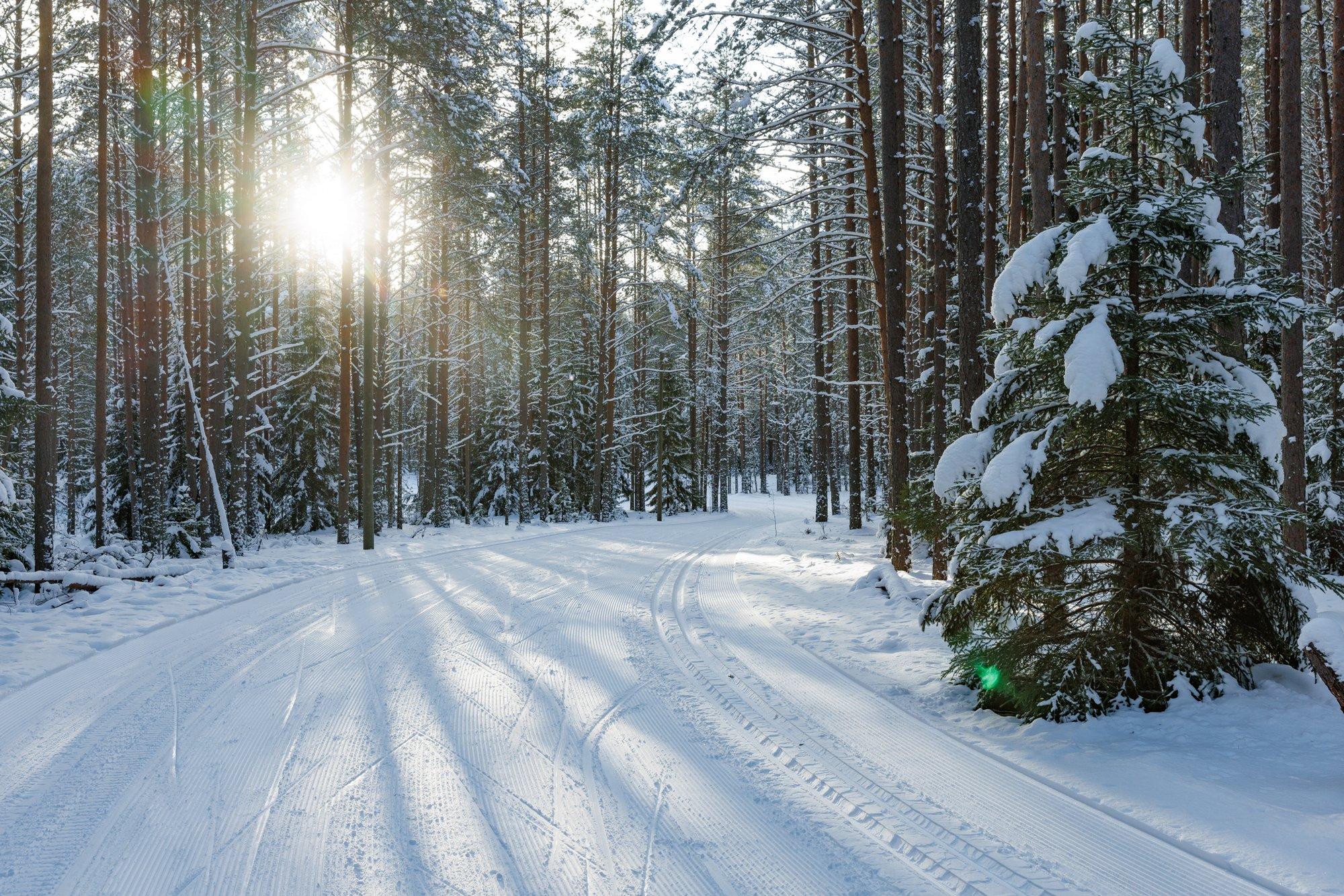 AMETLIK | Tartu maraton toimub Alutagusel