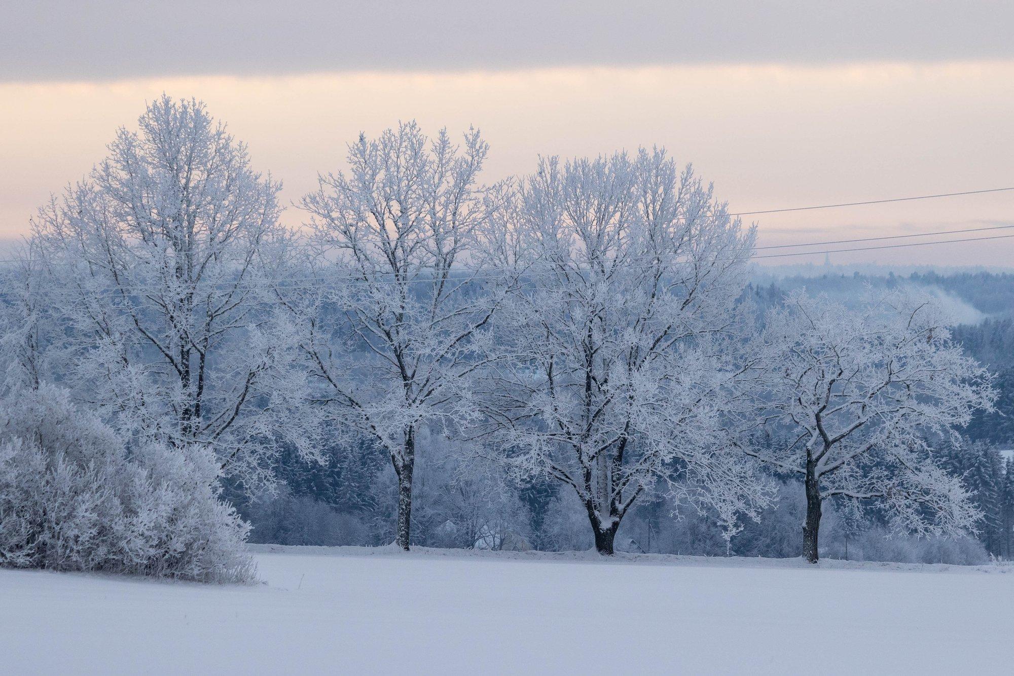 ILMAPROGNOOS | Millist ilma on oodata veebruari teises pooles?