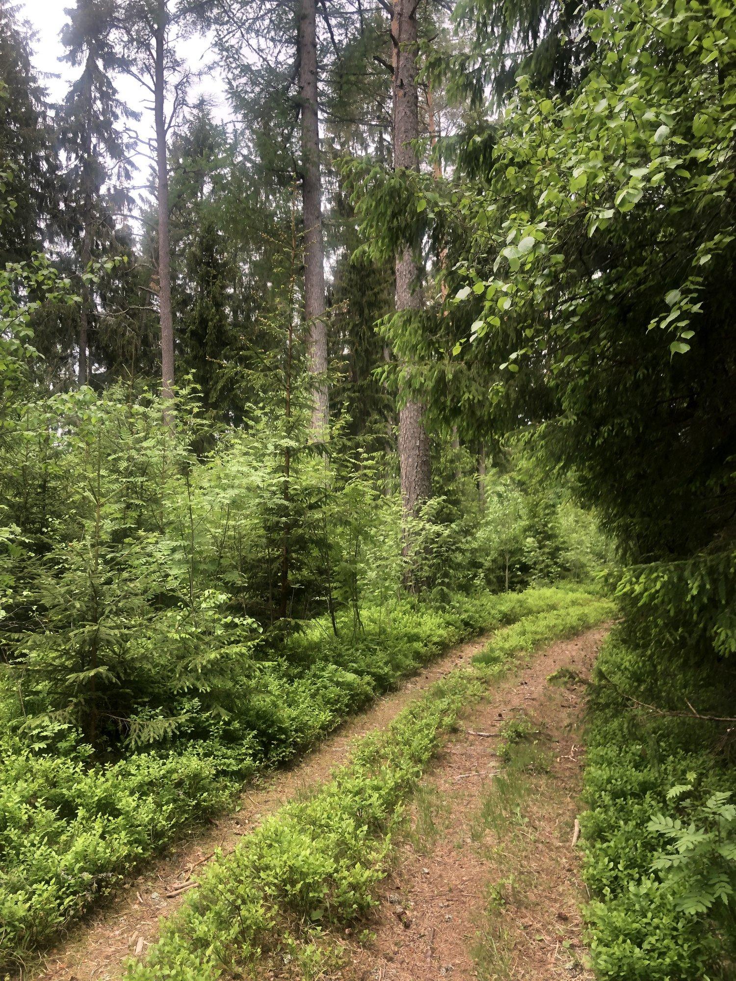 Harku vald läheb kaevandaja vastu riigikohtusse