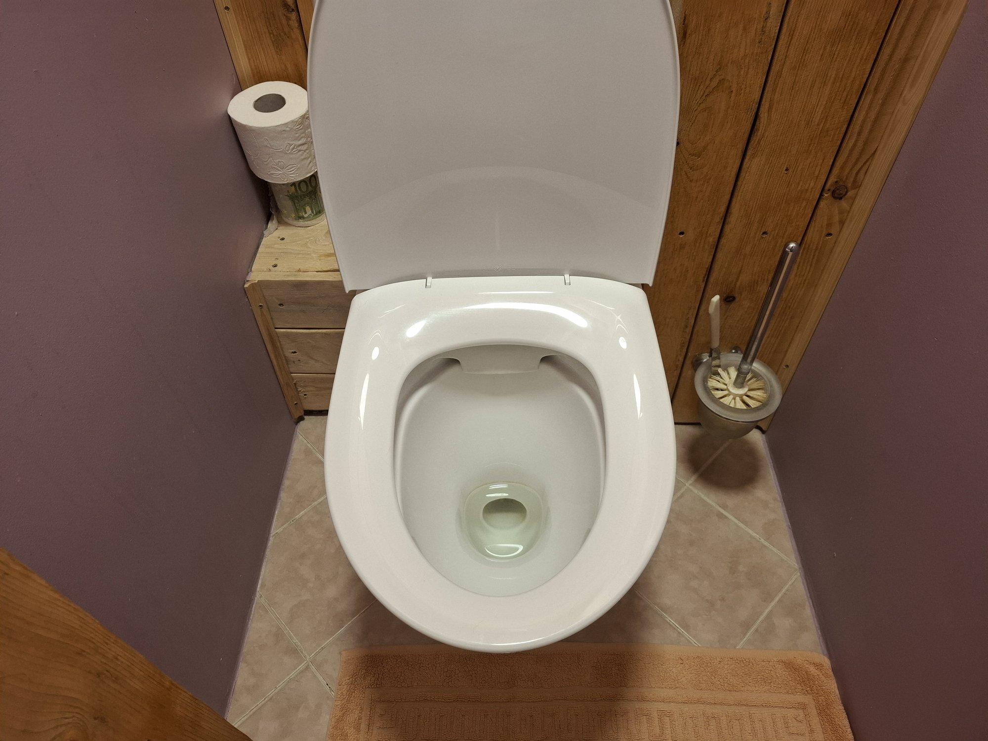 „Äravooluava on tavapotist kitsam ja julk ei võta kurvi välja.“ Piinlik mure kalli WC-potiga