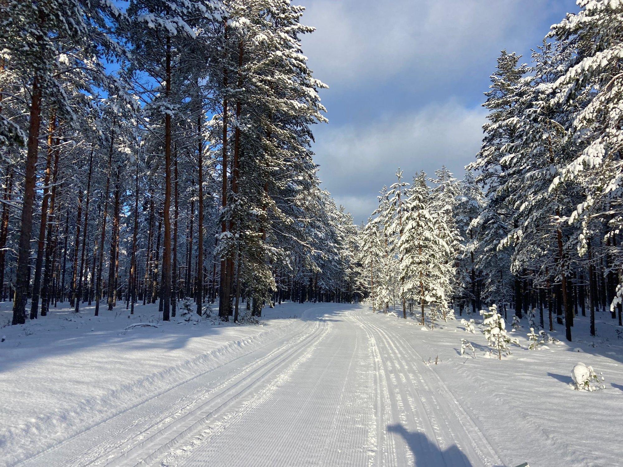 Tartu Maratoni  peakorraldaja: tänaste oludega saame pakkuda Alutagusel 18,5 km pikkust ringi