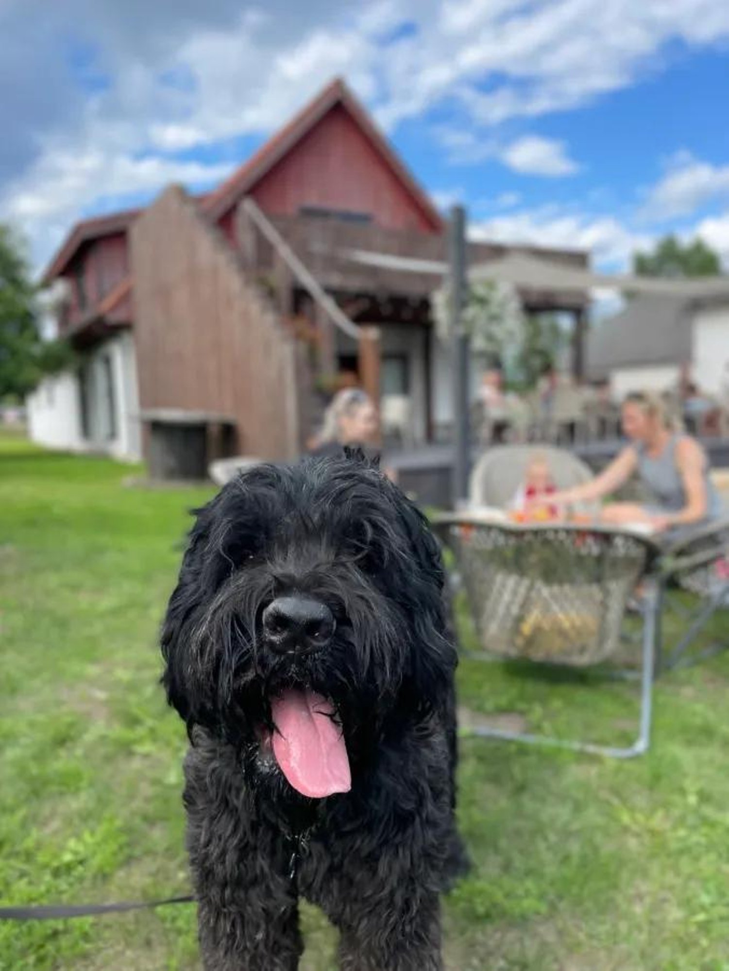 „Tegin nalja, et kas sa ei näe oma tuka alt!“ Dexter jäi ootamatult täiesti pimedaks, ometi on tal pool elu ees