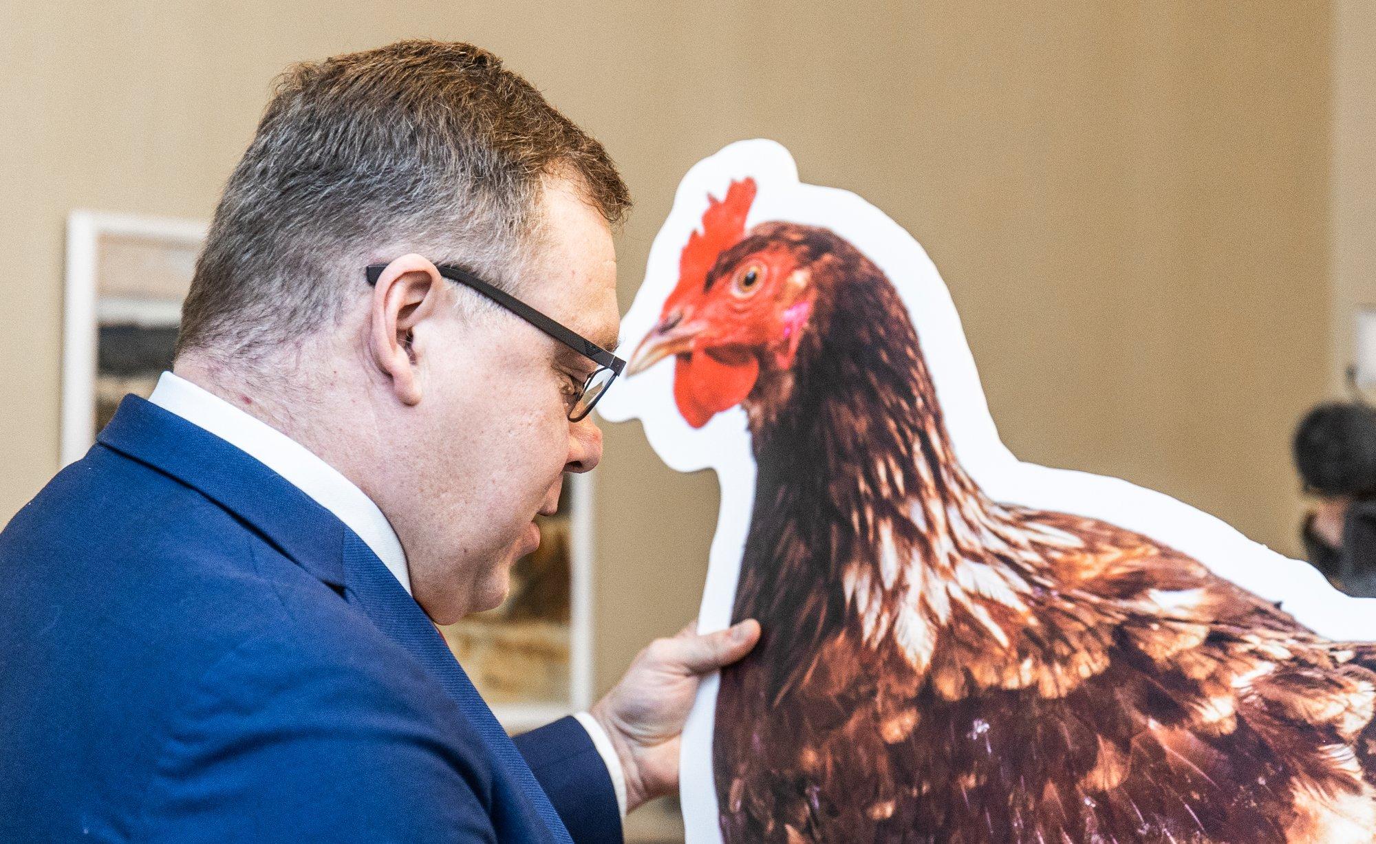 Soraineni advokaat Triin Toom: loomad ei ole asjad, et neist pooled kohe pärast sündi hukata