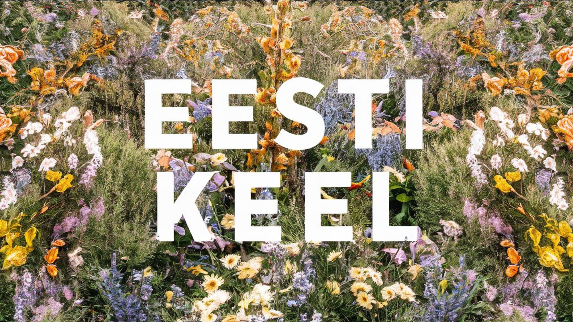 JUHTKIRI | Hey guys, let’s talk eesti keelest!*