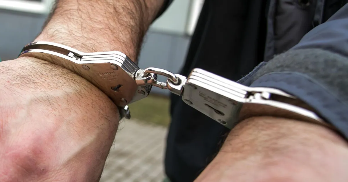 Info läks kaduma: vahistatul lasti kohtust ekslikult vaba mehena minema jalutada