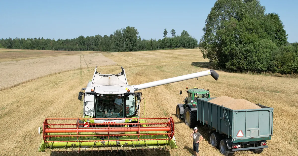 KOMMENTAAR ⟩ Heitlik olukord on põllumajandussektori uus normaalsus