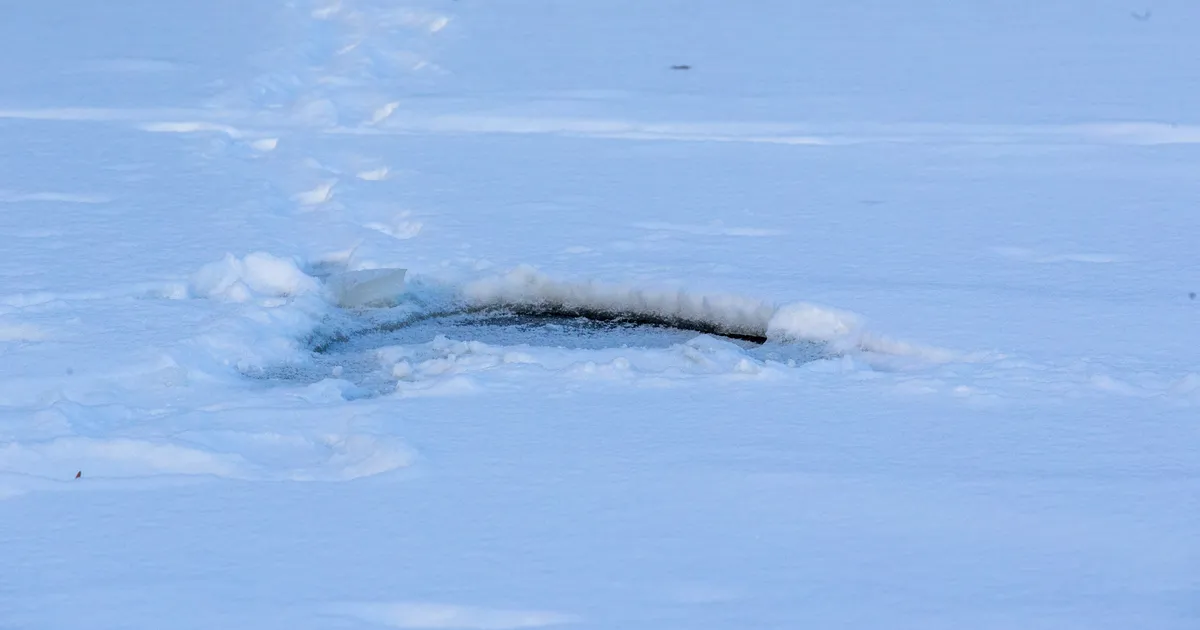 Jõgevamaal leiti paisjärvest uppunud inimene