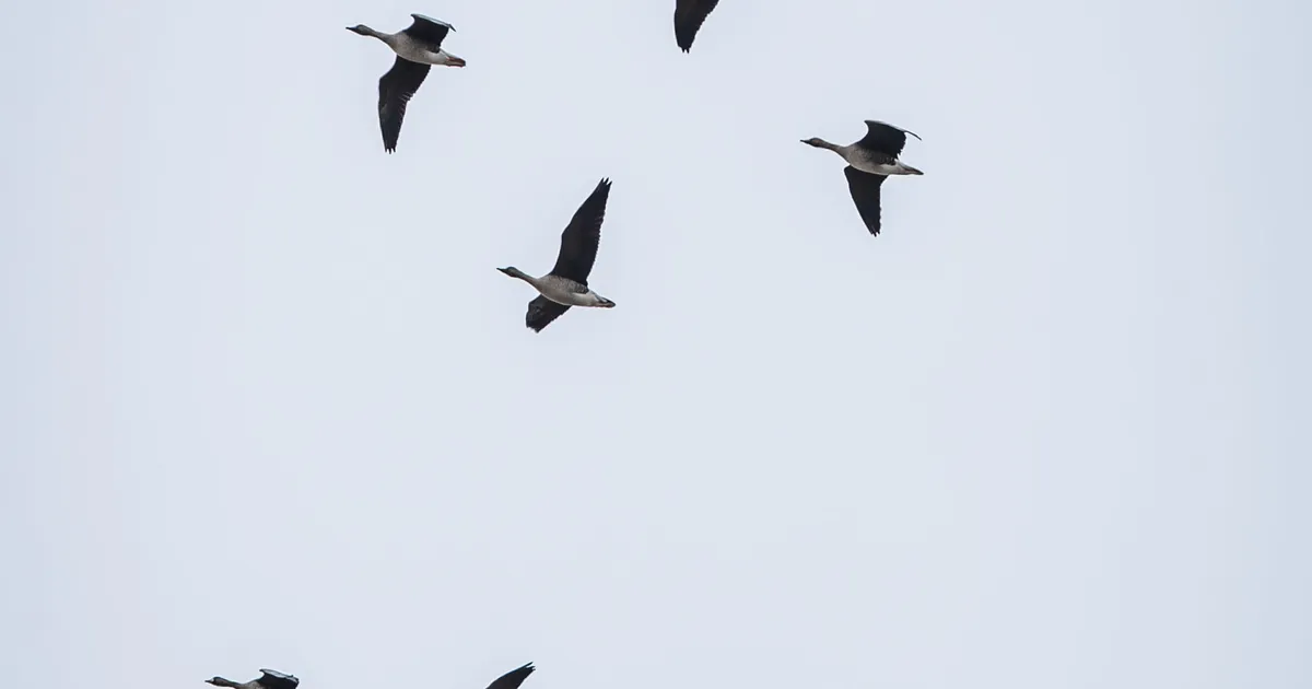 Lähipäevil jätkub soe kevadilm