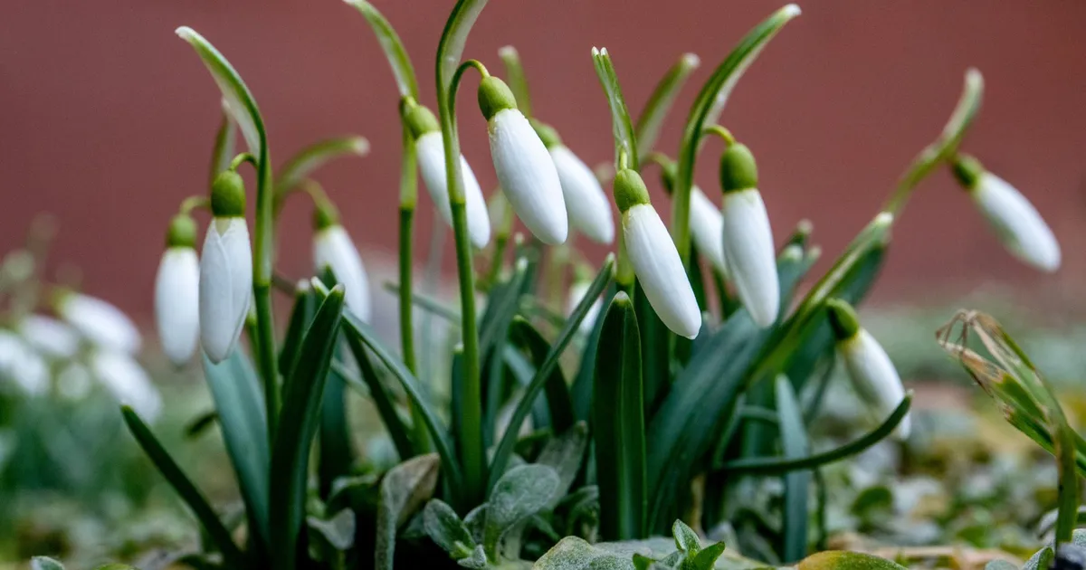 Kolmapäeval tuleb kuni seitse kraadi sooja