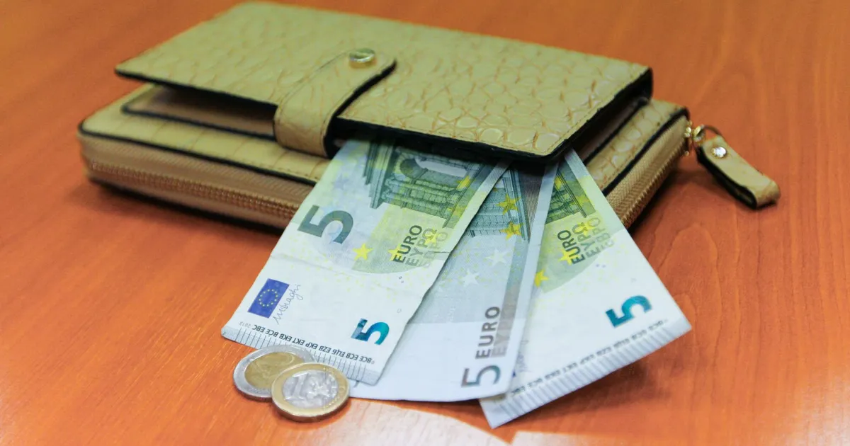 PIISAV SUMMA? ⟩ Rapla mehe sõnul tuleb tal hakkama saada vaid 120 euroga kuus, valla väitel on talle kõik eluks vajalik tagatud