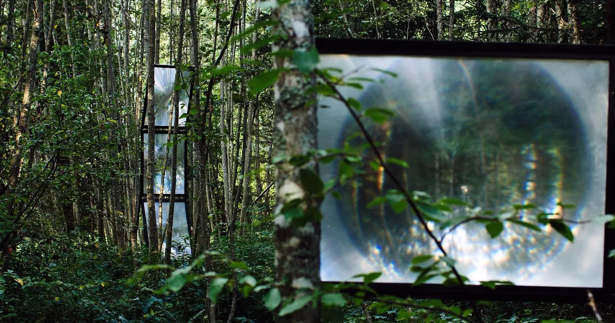 Metsikud bitid sünnitasid Eestisse uue kunstitriennaali