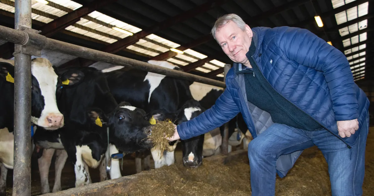 EY AASTA ETTEVÕTJA NOMINENT ⟩ Raplamaa põllumees ehitas nullist üles miljoniäri