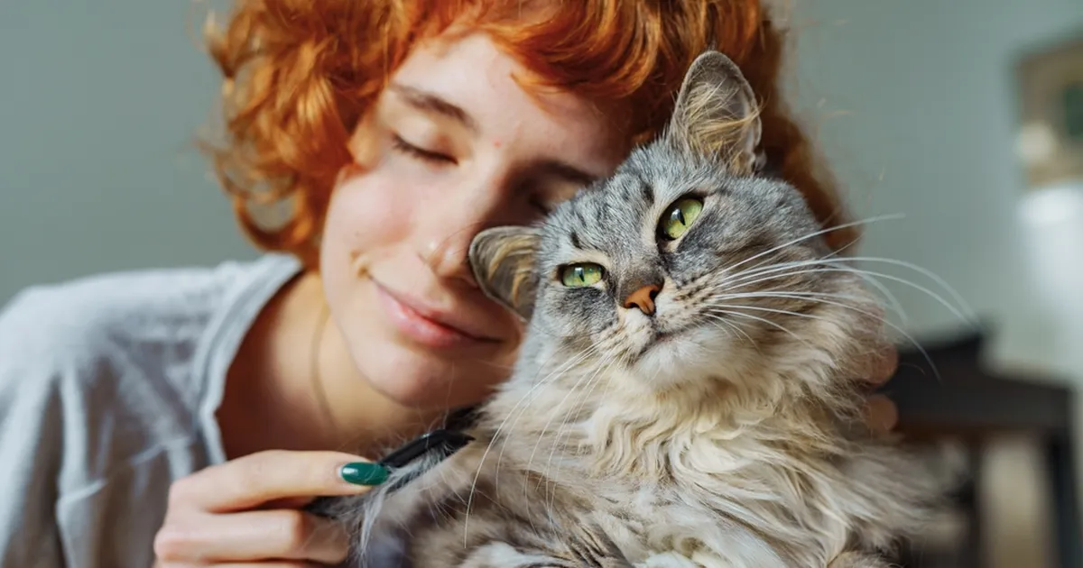ÜLLATAV ⟩ Neli selget märki, et su kass armastab sind – isegi kui ta teeskleb vastupidist