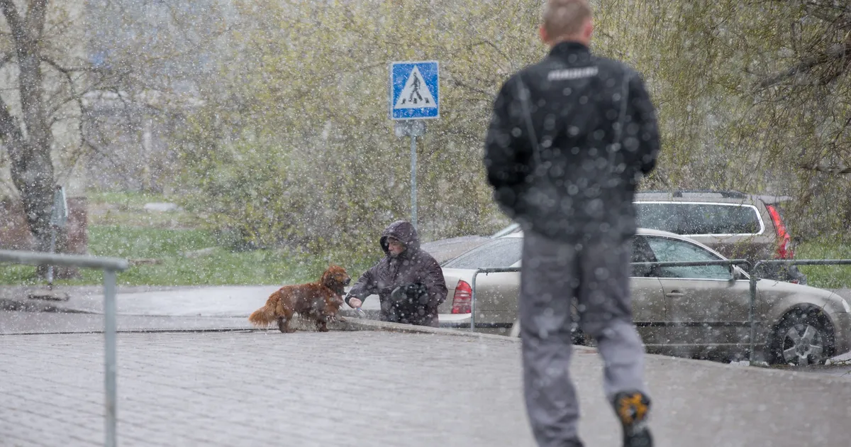 Homne ilm tuleb muutlik