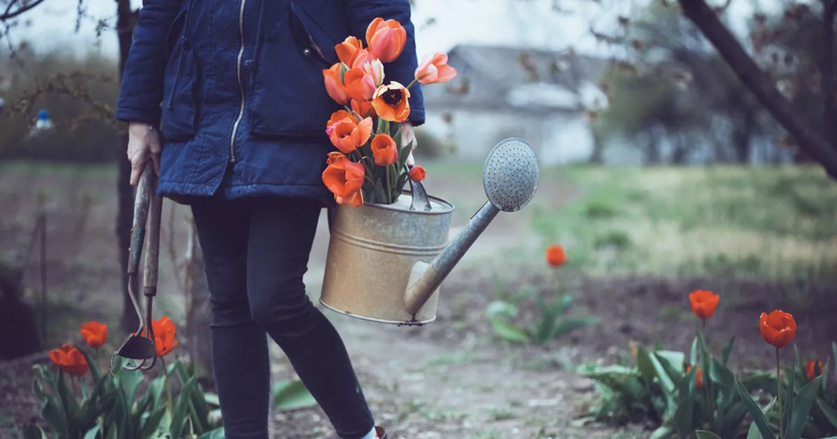 KEVADEKS VALMIS ⟩ 3 lihtsat sammu tagavad imekauni tulbimere