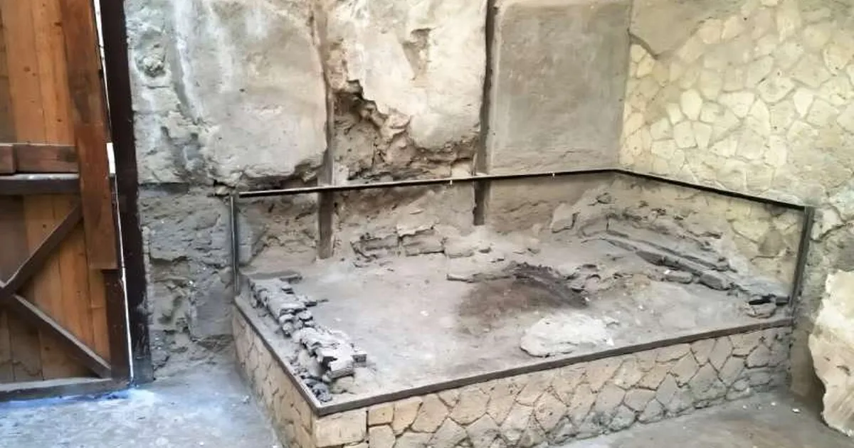 Selle noormehe aju klaasistus – teadlastel on selle kohta seletus