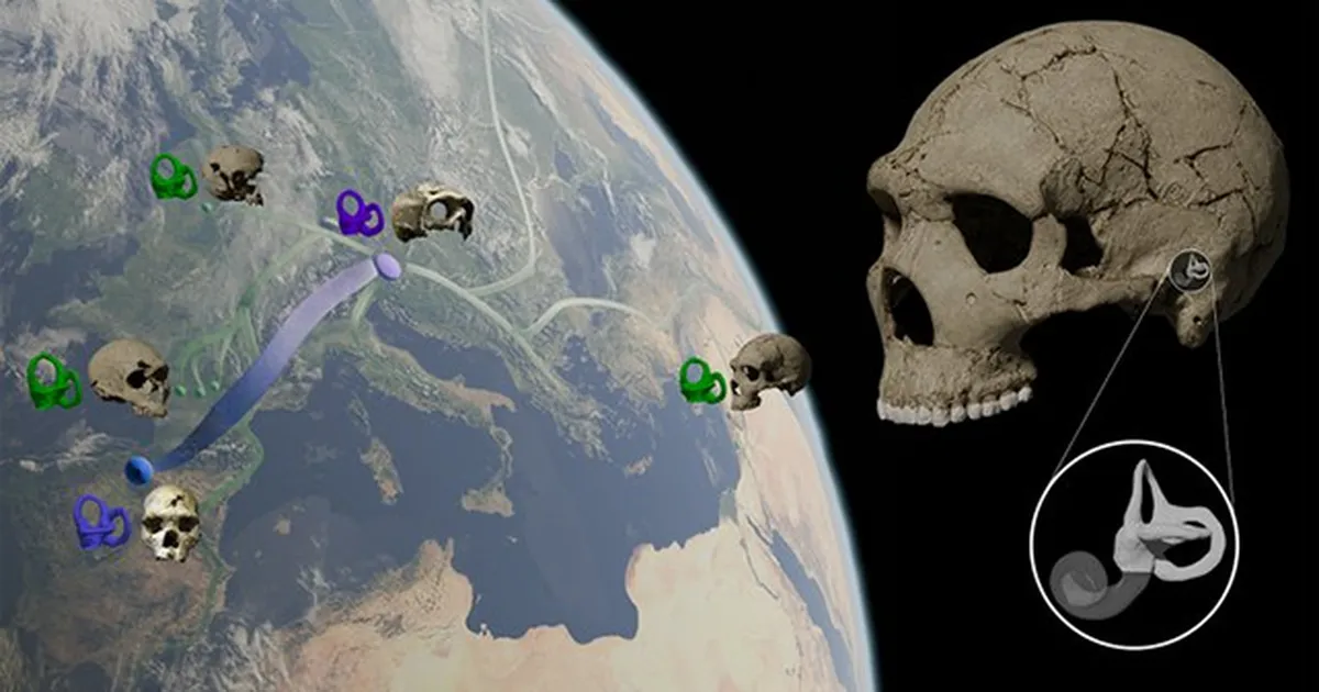 Neandertallased surid välja selle geneetilise põhjuse tõttu