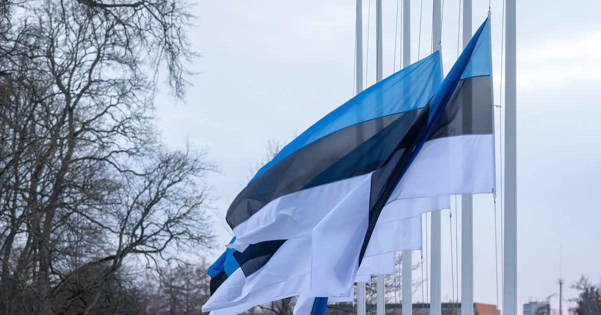 Märtsipommitamise aastapäeval heisatakse lipud poolde masti