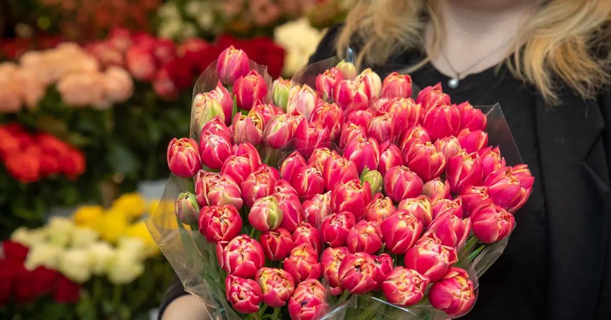 Tulbikimp ööseks külmikusse ja teisi nippe õieilu pikendamiseks