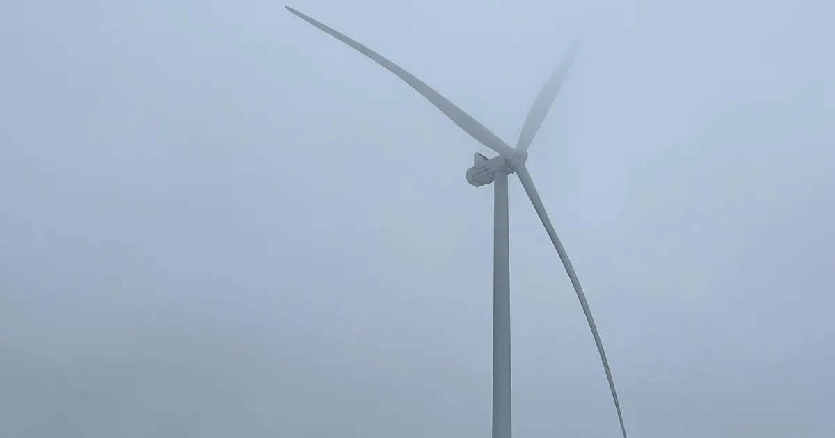 Uuring: Saarde tuulepark ei põhjusta lubatust suuremat müra