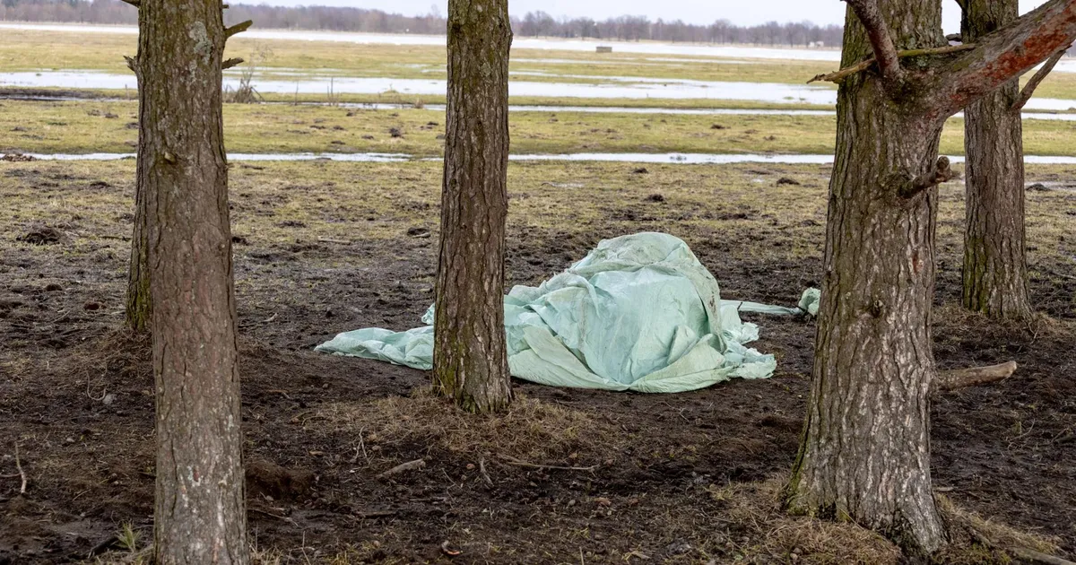 Loomakorjused Audru poldril tekitavad möödujates küsimusi