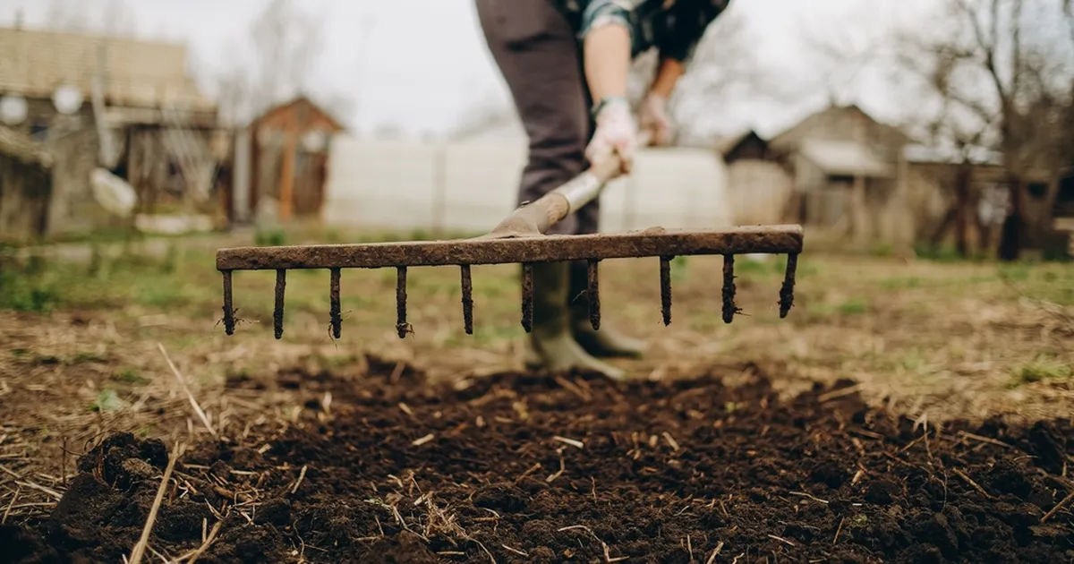 PROOVI KA ⟩ Kogenud aednike salatrikk tagab mullusest parema kartulisaagi