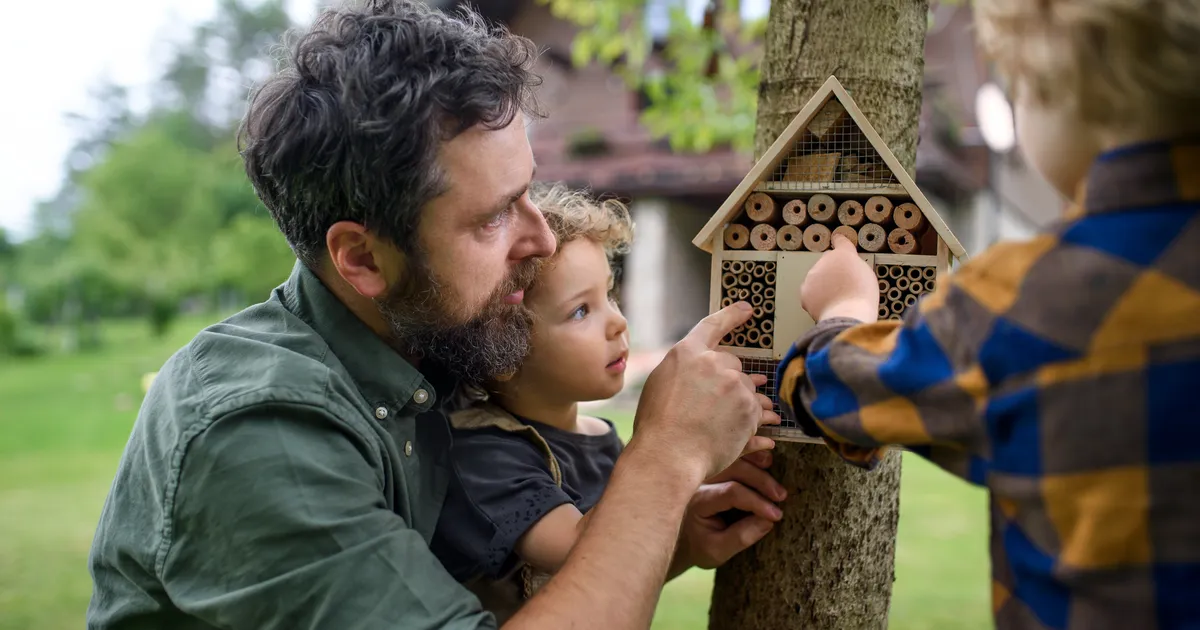 NÄDALA RAAMAT ⟩ Miks on putukad nii ägedad? Välimääraja aitab neid tundma õppida