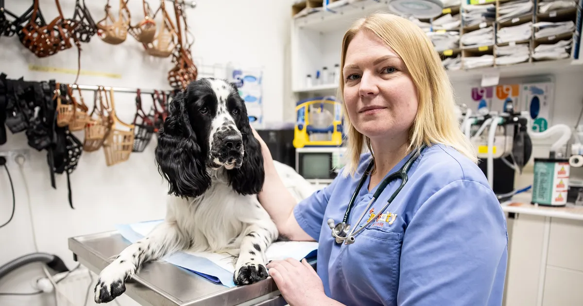 INTERVJUU ⟩ Loomaarst Gerlin Järvela: nutma ajavad need hetked, kui...