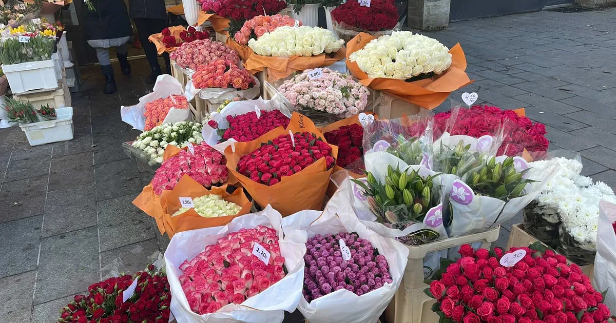 LILLEKLÕPSUD ⟩ Tallinna mees: vanalinna lilleturul on küll uhked lilled, aga ma ise ostan kimbud mujalt