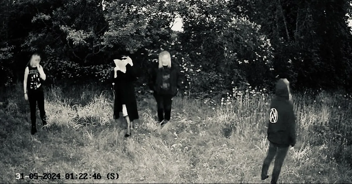 TMW KÜSIMUSTIK ⟩ +TUNNIT+: kõik ei pea olema populaarne või mainstream, et olla hämmastav