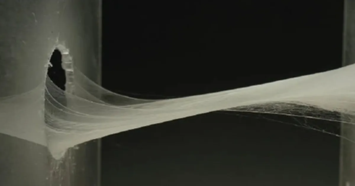 Tartus tehti valmis robot, mis koob ämbliku kombel sillakesi ja tööriistu