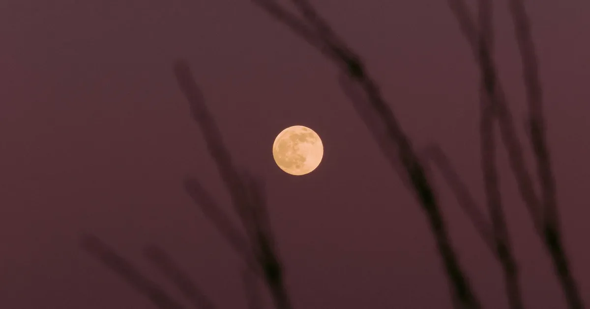 SODIAAGISOSINAD ⟩ Kuuvarjutus võib tuua raputavaid ja kurnavaid olukordi: enda elu võiks hoida nüüd lihtsana