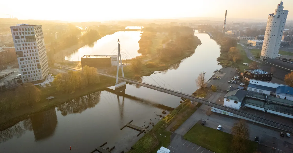 Noorte kunstnike töödest sünnib eriline riidekollektsioon