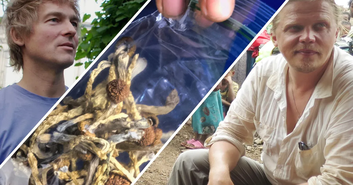 TÄISTUND ⟩ Eesti tuntud isikud räägivad avameelselt psühhedeelsete ainete mõjujõust