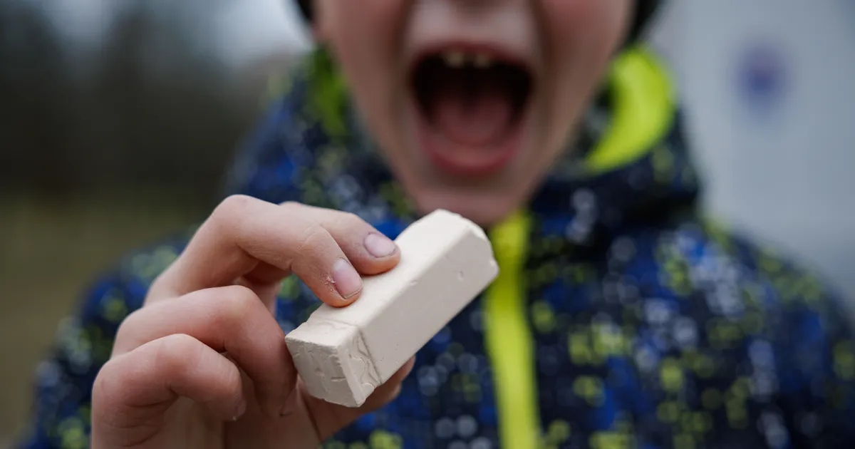 MARGUS ANNUK ⟩ Miks lapsed kriiti söövad?