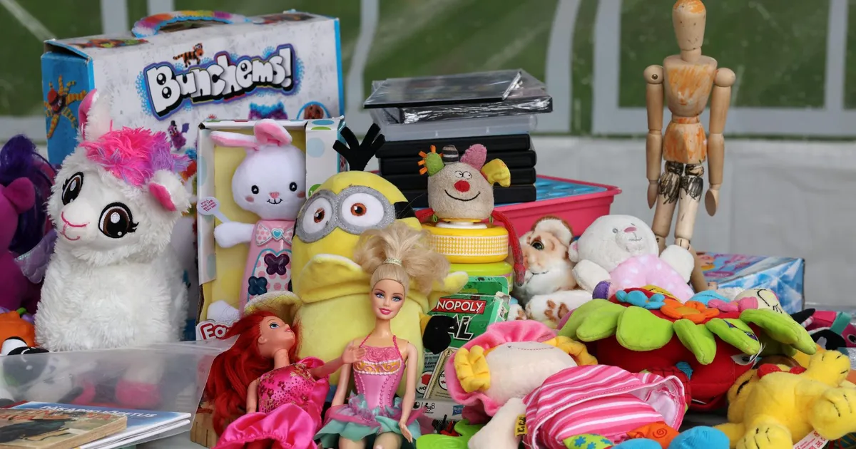 Poest kadus nii riideid kui lelusid