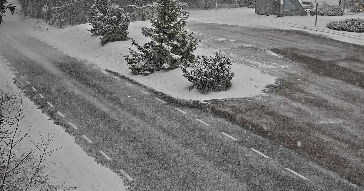 FOTOD ⟩ ​«​Hea, et autot puhtaks ei pesnud...» Talv tuleb tagasi, mõnel pool Eestis tiheneb lörtsi- ja lumesadu